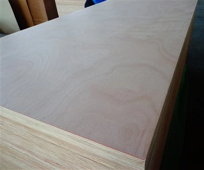 Dengiz kontrplak BS1008